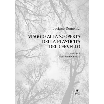 Viaggio alla scoperta della plasticità del cervello