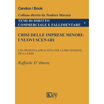 Crisi delle imprese minori: i nuovi scenari. Una proposta applicativa per la prevenzione della crisi