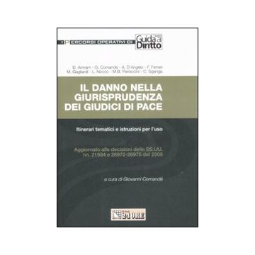 Il danno nella giurisprudenza dei giudici di pace. Itinerari tematici e istruzioni per l'uso