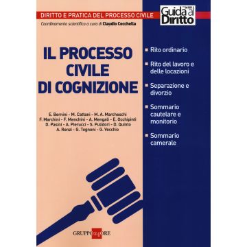 Il processo civile di cognizione