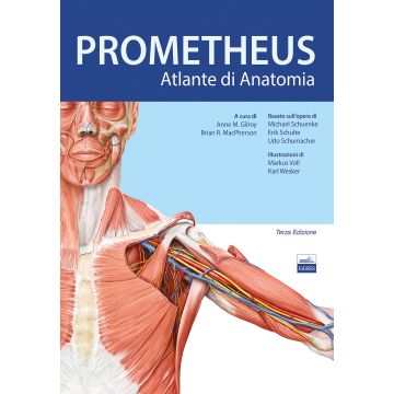 Prometheus. Altante di Anatomia umana 3/ed.