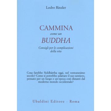 Cammina come un Buddha. Consigli per le complicazioni della vita