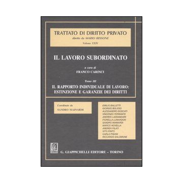 Trattato di diritto privato Vol. 24 - Tomo 3: Il lavoro subordinato - Il rapporto individuale di lavoro: estinzione e garanzie dei diritti