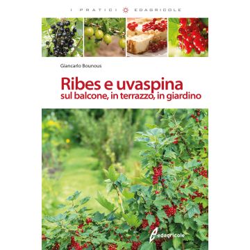 Ribes e uvaspina sul balcone, in terrazzo, in giardino