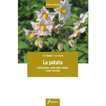 La patata. Coltivazione, scelta delle cultivar e post-raccolta
