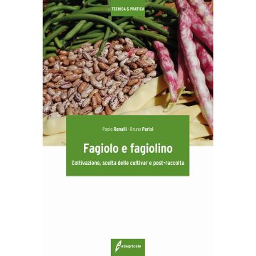 Fagiolo e fagiolino. Coltivazione, scelta delle cultivar e post-raccolta