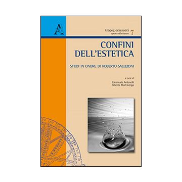 Confini dell'estetica. Studi in onore di Roberto Salizzoni