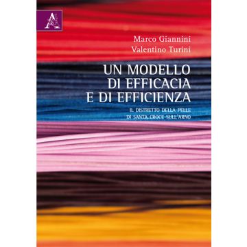 Un modello di efficacia e di efficienza. Il distretto della pelle di Santa Croce sull'Arno