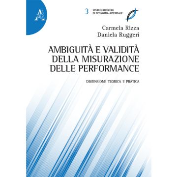 Ambiguità e validità della misurazione delle performance. Dimensione teorica e pratica 