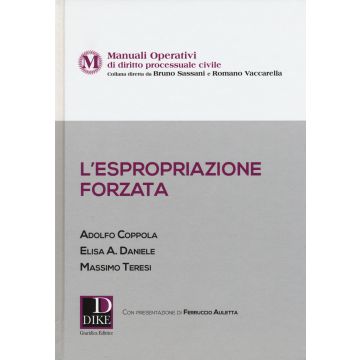 L'espropriazione forzata