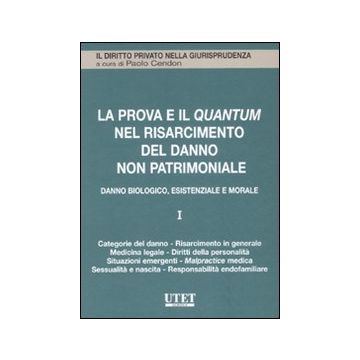 La prova e il quantum nel risarcimento del danno non patrimoniale. Vol. 1: Danno biologico, esistenziale e morale
