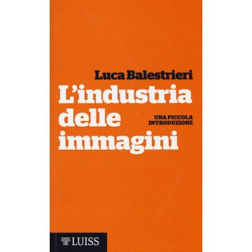 L'industria delle immagini. Una piccola introduzione