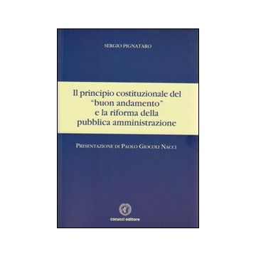 Il principio costituzionale del «buon andamento» e la riforma della pubblica amministrazione
