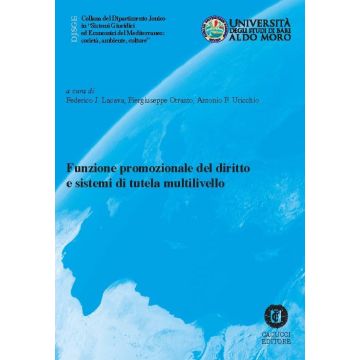 Funzione promozionale del diritto e sistemi di tutela multilivello