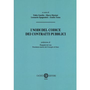 I nodi del codice dei contratti pubblici