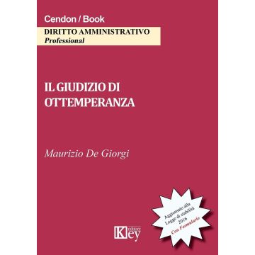 Il giudizio di ottemperanza