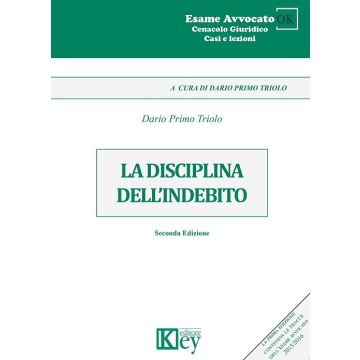 La disciplina dell'indebito