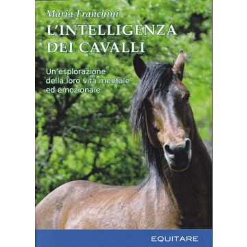 L'intelligenza dei cavalli