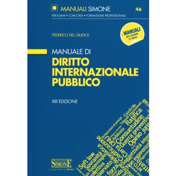 Manuale di diritto internazionale pubblico