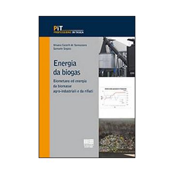Energia da biogas