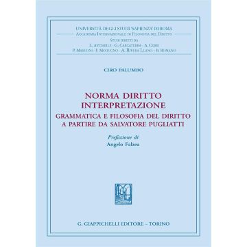 Norma diritto interpretazione. Grammatica e filosofia del diritto a partire da Salvatore Pugliatti