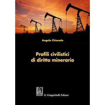 Profili civilistici di diritto minerario