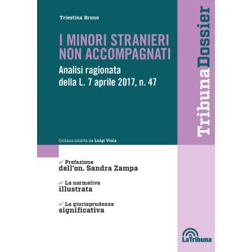 I minori stranieri non accompagnati. Analisi ragionata della L. 7 aprile 2017, n. 47