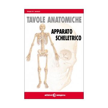 Tavole anatomiche. Apparato scheletrico