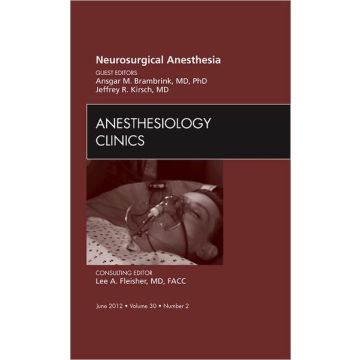 Neurosurgical Anesthesia, An Issue of Anesthesiology Clinics  [Kirsch - Elsevier Science]