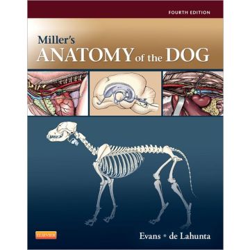 Miller's Anatomy of the Dog, 4th Edition   [Evans  - Elsevier Science]