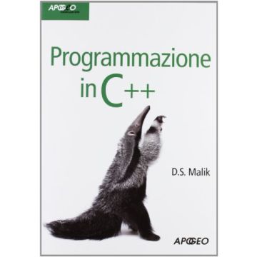 Programmazione In C++