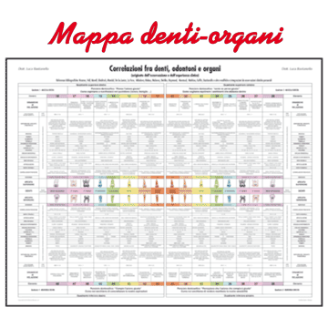 Poster Mappa denti-organi - Correlazioni fra denti e organi [Martina Edizioni]