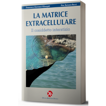 La Matrice Extracellulare Il cosidetto interstizio Albergati Bacci