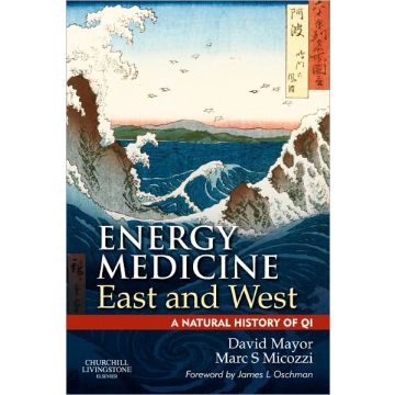 Energy Medicine East and West - a natural history of qi
