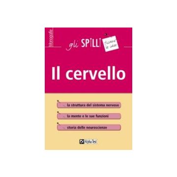 Il cervello - Gli SPILLI [Alpha test]