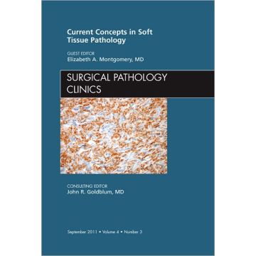 Current Concepts in Soft Tissue Pathology, An Issue of Surgical Pathology Clinics   [Montgomery  - Elsevier Science]