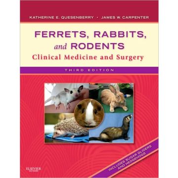 Ferrets, Rabbits, and Rodents, 3rd Edition - CLINICAL MEDICINE AND SURGERY   [Quesenberry  - Elsevier Science]