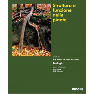 Struttura e funzione nelle piante    [Raven - Piccin Editore]