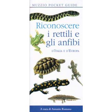 Riconoscere i rettili e gli anfibi d'Italia e d'Europa  [Romano - Muzzio Editore]