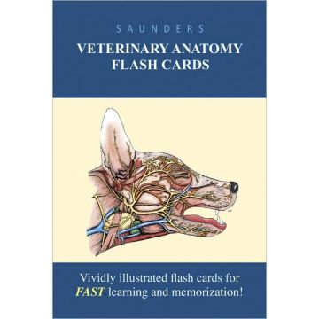Saunders Veterinary Anatomy Flash Cards