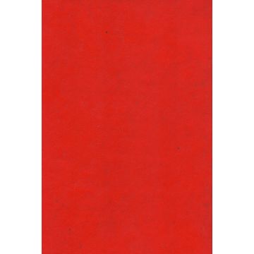 dizionario-eponimico-ostetrico-ginecologico-brigato-piccin