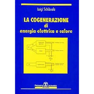 La Cogenerazione Di Energia Elettrica E Calore 