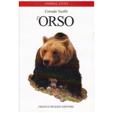 L'orso          [Teofili - Muzzio Editore]
