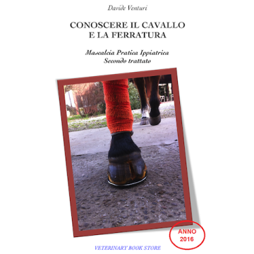 Venturi Conoscere il cavallo e la ferratura