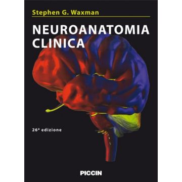 Neuroanatomia clinica 26/ Ed. [Waxman - Piccin]