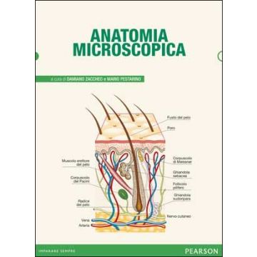 Anatomia microscopica