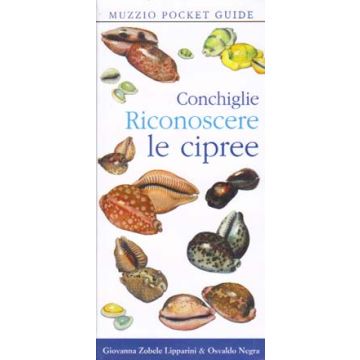 Conchiglie. Riconoscere le cipree   [Zobbele Lipparini - Muzzio Editore]